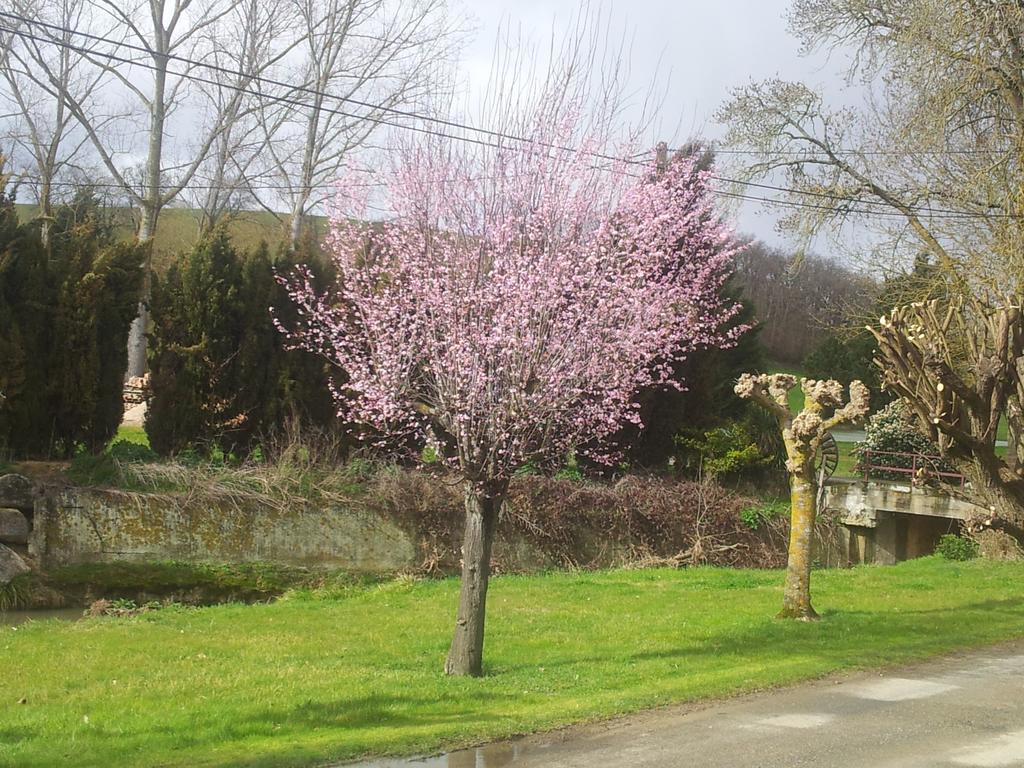 Chambre D'Hotes Le Moulin D'Encor Seysses-Saves Exterior photo